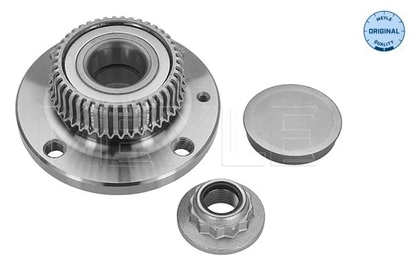Cubo de rueda trasero Volkswagen Caddy 2 (9K9)