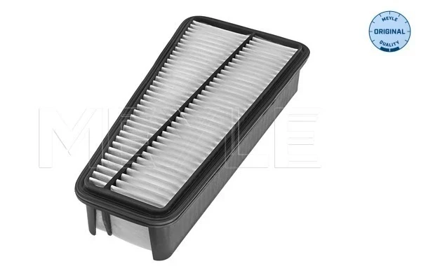 Filtro aire para Toyota Fj Cruiser 
