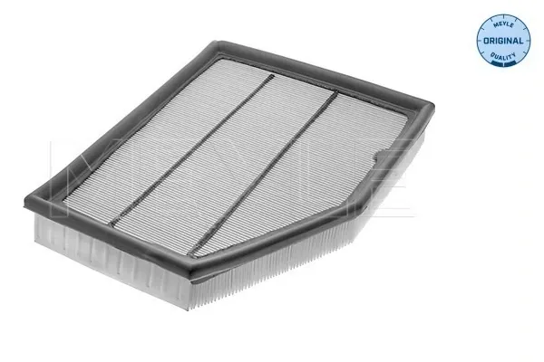 Filtro de aire 1682950580 Peugeot/Citroen
