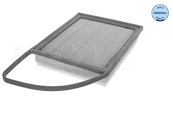Filtro aire para Citroen C3 2 (A51)
