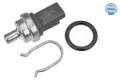 Sensor de temperatura Ford Fusion JU