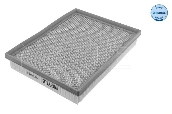 Filtro de aire Ford Kuga III