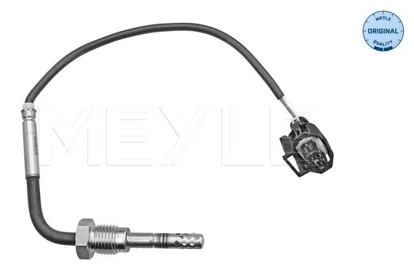 Sensor de temperatura de gases de escape antes del filtro de partículas 19419930 Peugeot/Citroen