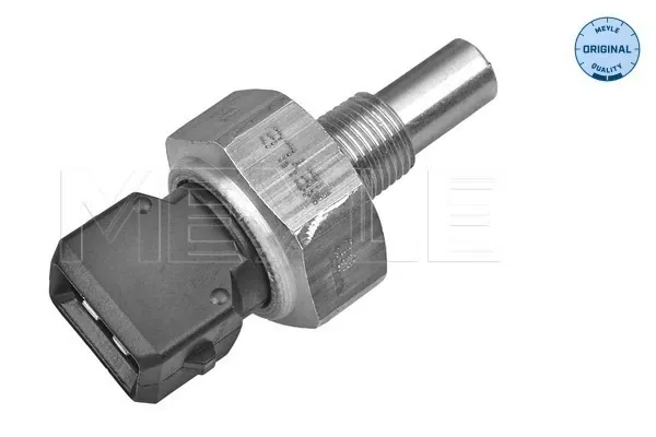 Sensor de temperatura Ford Escort V