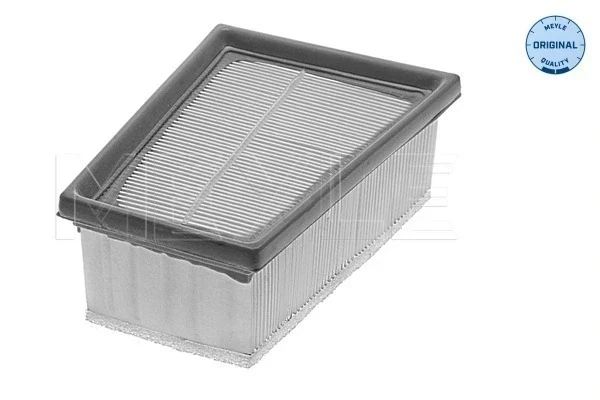 Filtro aire para Renault Megane 2 (BM0, CM0)
