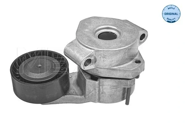 Tensor de correa, correa poli V Peugeot Boxer (250)