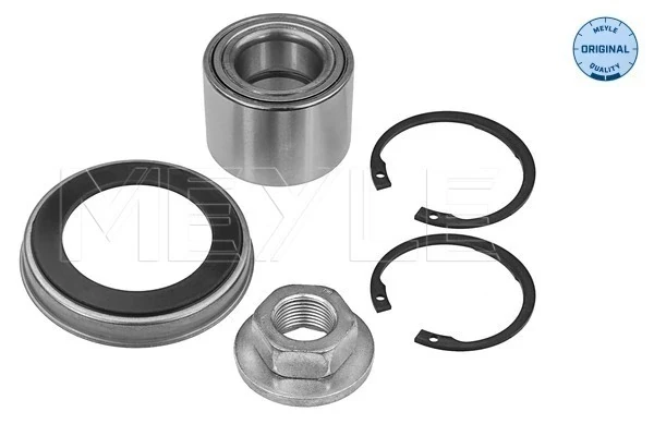 Cojinete de rueda trasero Ford Focus 1 (DNW)