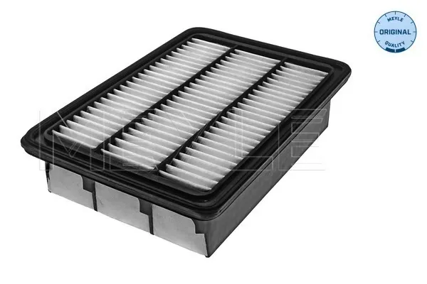Filtro de aire Hyundai Santa Fe II