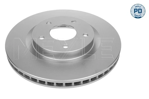 Freno de disco delantero Nissan Qashqai 1 (J10)