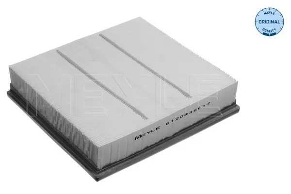 Filtro de aire 1638023180 Peugeot/Citroen