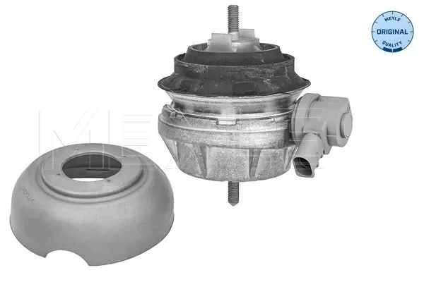 Soporte de motor, Izquierda / Derecha 1001993171 Meyle