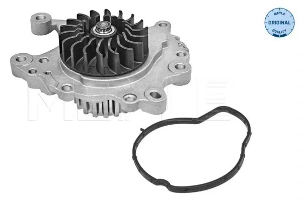 Bomba de agua Ford Focus IV