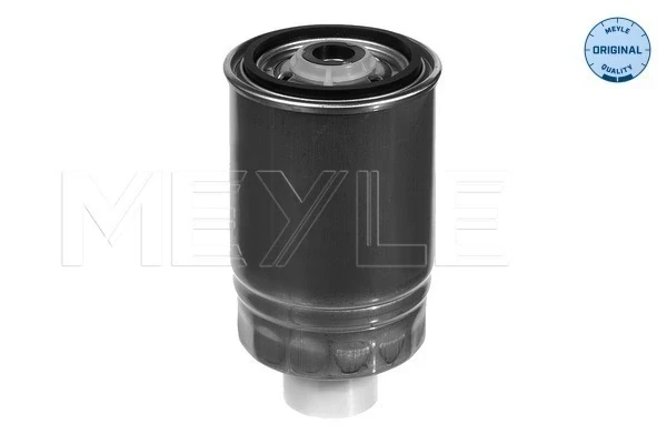 Filtro combustible Renault 19 2 (L53)