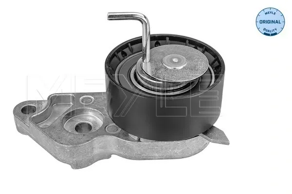 Tensor, correa dentada Volvo V50 