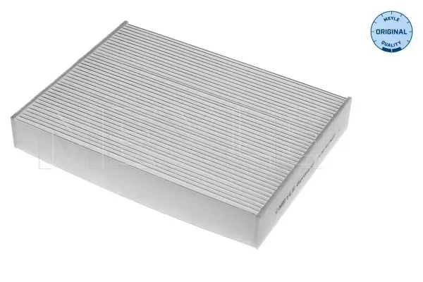 Filtro de habitáculo Renault Scenic III