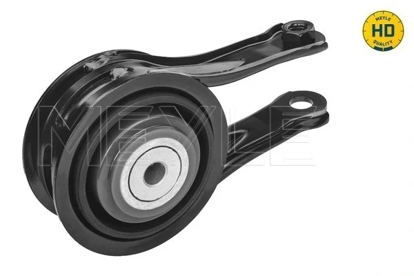 Soporte de motor trasero Citroen C5 (RD/X7)