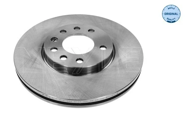 Freno de disco delantero Fiat Croma 2 (194)