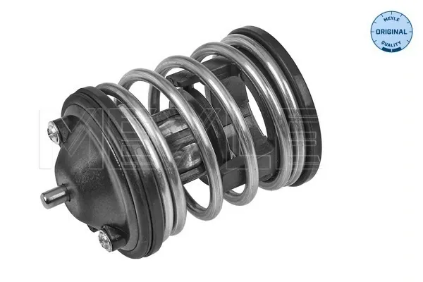 Termostato 3282280010 Meyle
