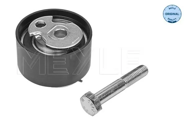 Rodillo tensor cadena Ford Transit IV