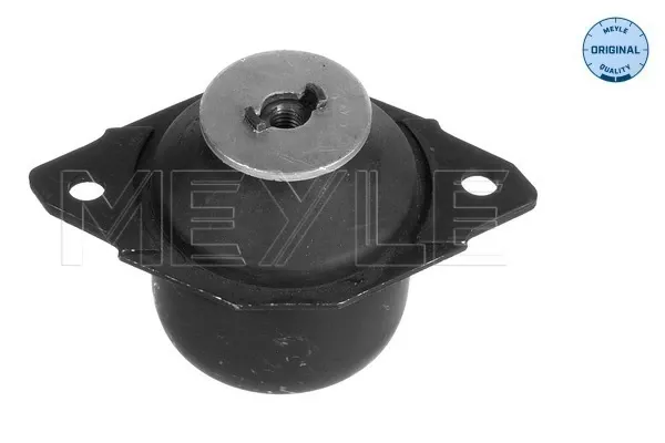 Soporte izquierdo del motor 1001990028 Meyle