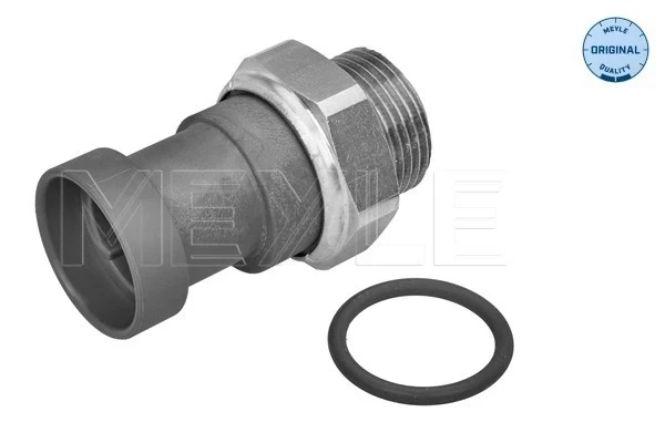 Sensor, temperatura del refrigerante (encendido el ventilador del radiador) Peugeot 406 (8E, F)
