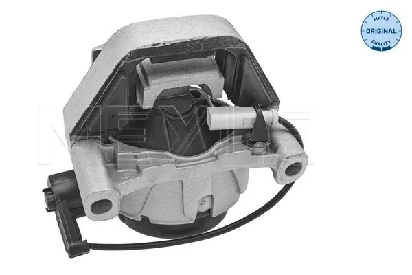 Soporte izquierdo del motor 1001990317 Meyle