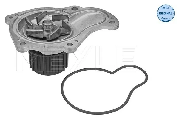 Bomba de agua para Dodge Caravan (NS)