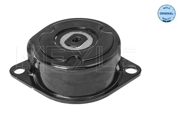 Tensor de correa, correa poli V Volkswagen Passat B3, B4 (3A2, 351, 312)