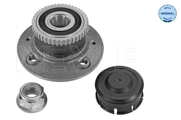 Cubo de rueda trasero Renault Kangoo (FC0)