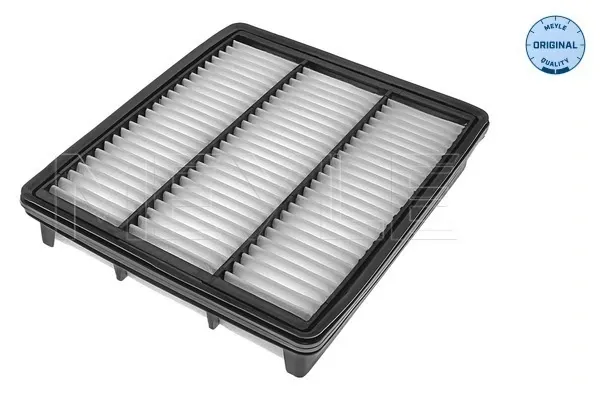 Filtro de aire Hyundai Terracan HP