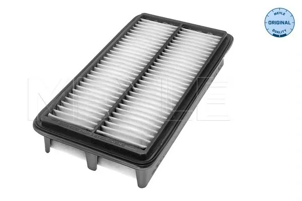 Filtro de aire KIA Carnival III