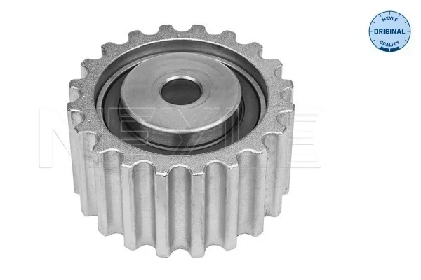 Rodillo intermedio de correa dentada Renault Megane SCENIC (JA0)