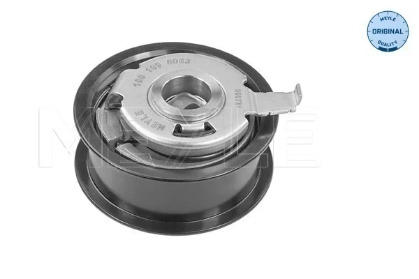 Rodillo, cadena de distribución Seat Leon (1M1)