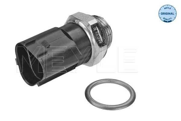 Sensor, temperatura del refrigerante (encendido el ventilador del radiador) Volkswagen Passat B6 (3C5)