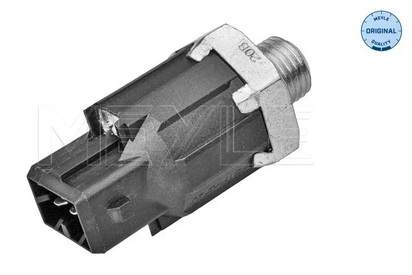Sensor de detonaciones Renault Megane 1 (DA0)