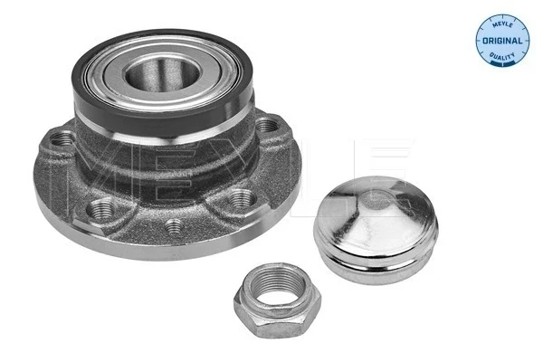 Cubo de rueda trasero Fiat Doblo 2 (263)