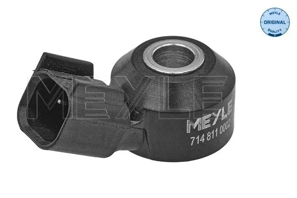 Sensor de detonaciones Land Rover Freelander 1 (LN)