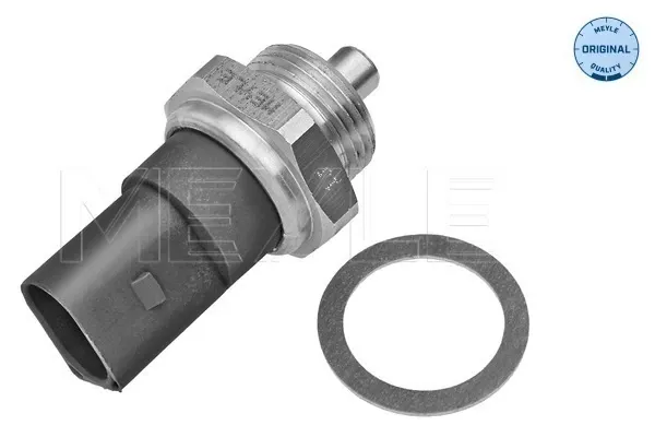 Sensor de temperatura 295168 EFI