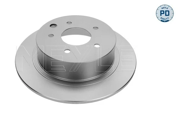 Disco de freno, eje trasero para Nissan JUKE F15