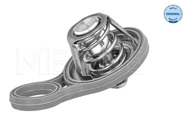 Termostato Chrysler Voyager 3 (RG, RS)