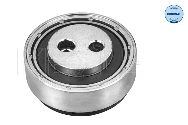 Rodillo, correa trapecial poli V Volkswagen Passat B5 (3B3)