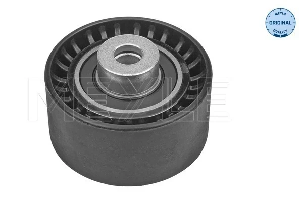 Rodillo intermedio de correa dentada Fiat Scudo (220L)