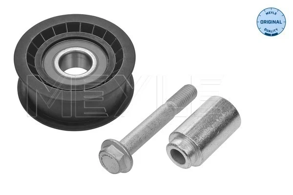Rodillo intermedio de correa dentada Seat Toledo 3 (5P2)