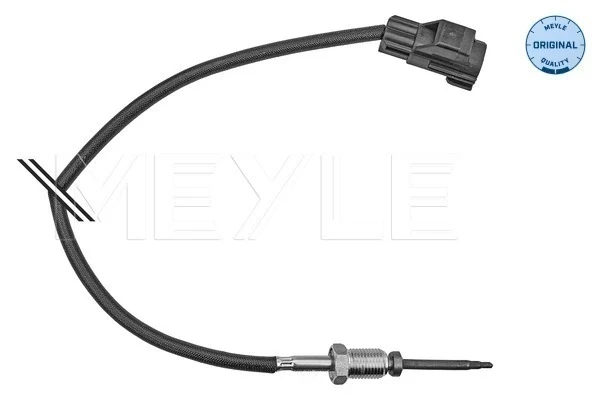 Sensor de temperatura, gas de escape, en catalizador Citroen Jumper (250)