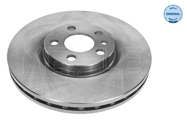 Freno de disco delantero Fiat Scudo (220L)