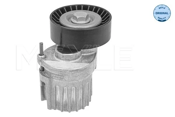Tensor de correa, correa poli V Volkswagen Passat B7 (362)