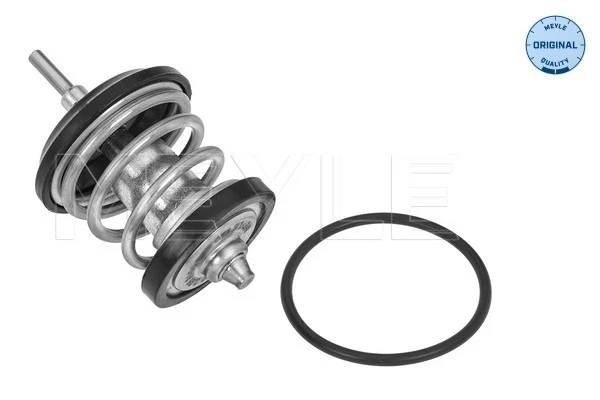 Termostato Seat Exeo ST (3R5)