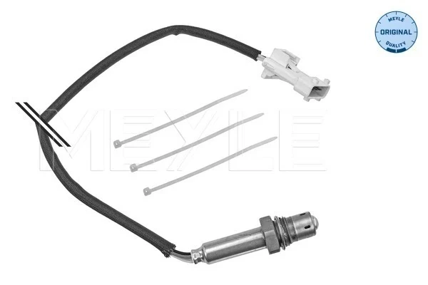Sensores de oxigeno Land Rover Freelander 1 (LN)