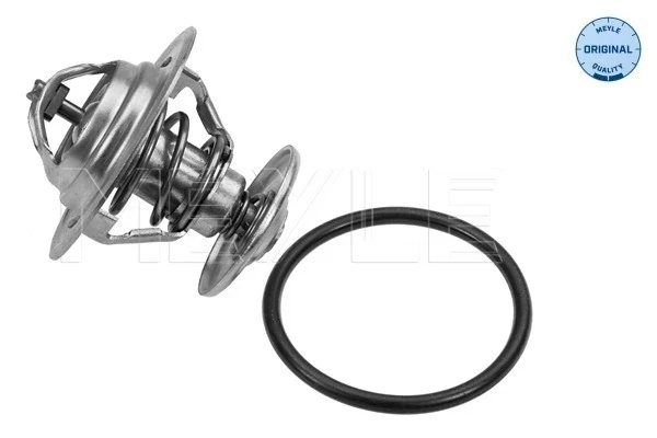 Termostato Volkswagen Passat (B5, 3B2)