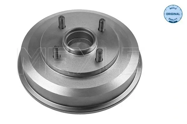 Tambor de freno trasero Ford Focus I